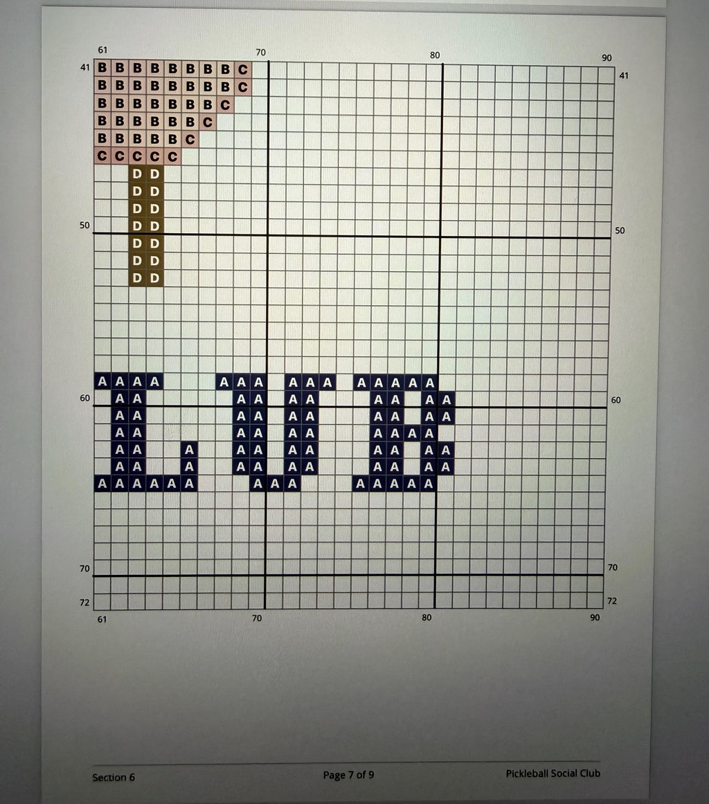 Pickleball Social Club Needlepoint Stitch Chart Digital Download