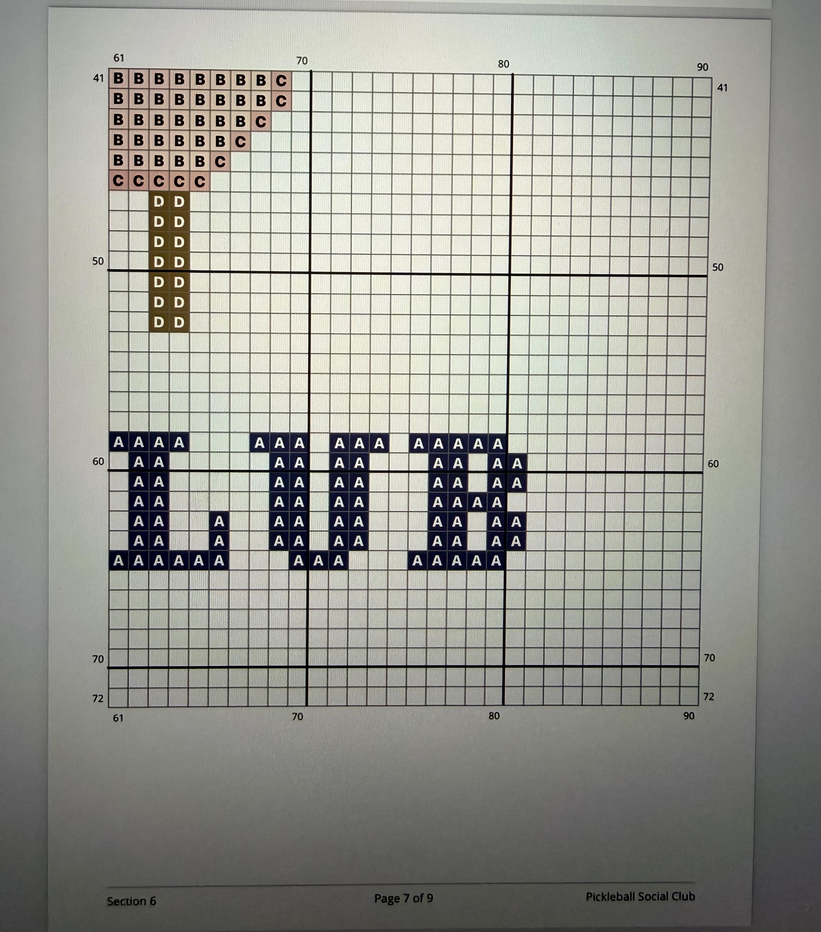 Pickleball Social Club Needlepoint Stitch Chart Digital Download