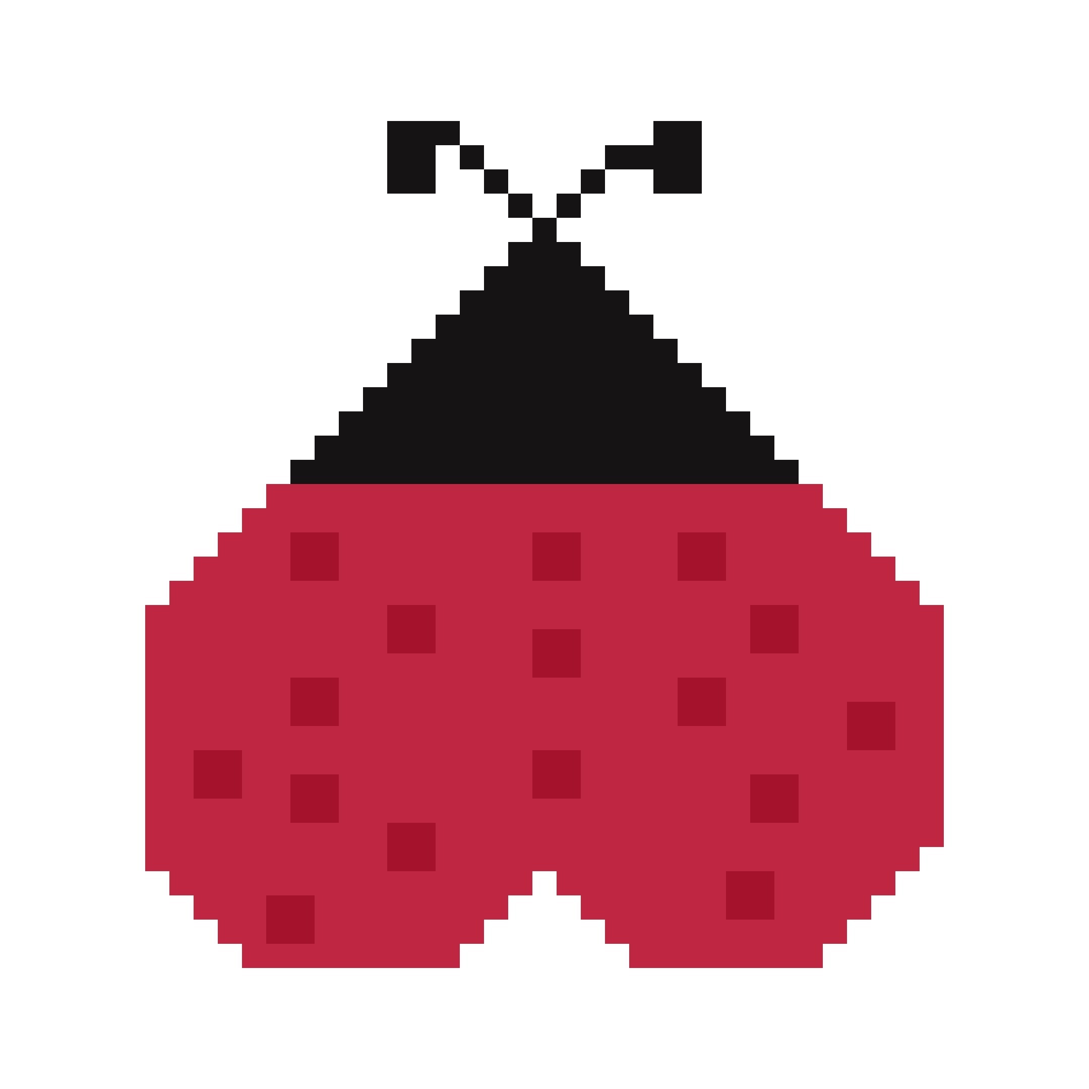 Ladybug Heart Mini Needlepoint Stitch Chart Digital Download